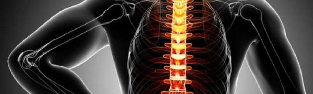 coluna vertebral