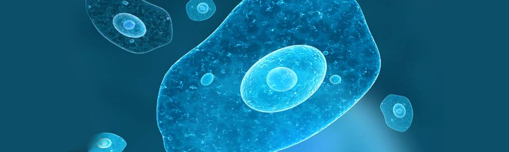 amebiase